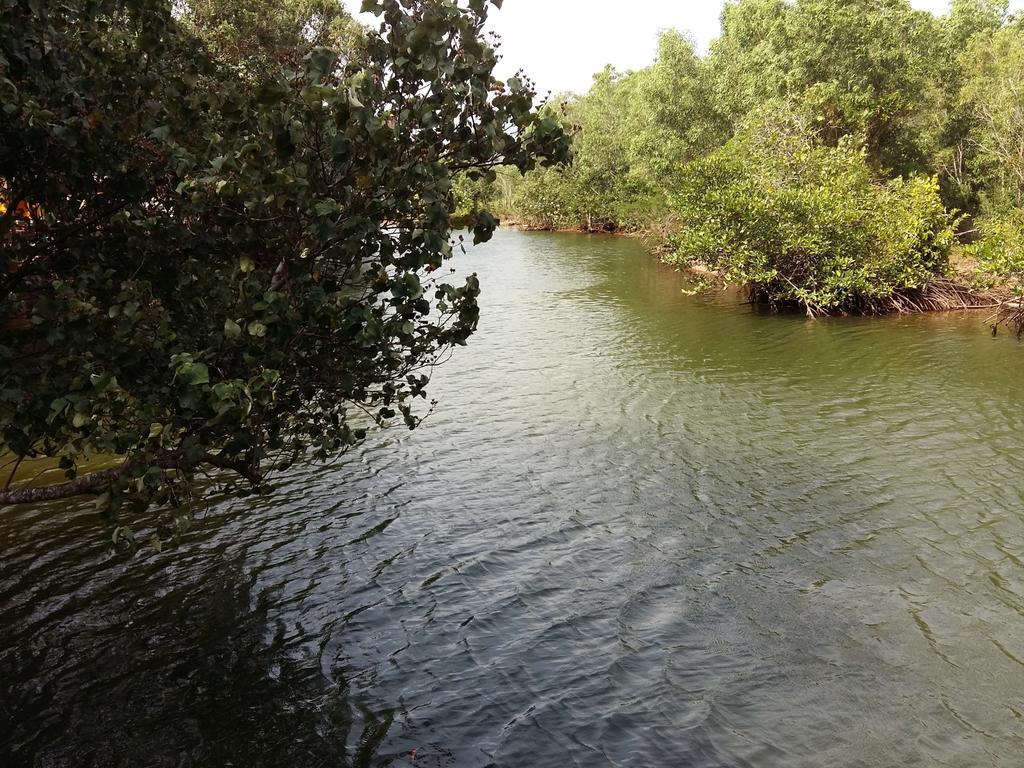 Mangroves & More @ Cambodia سيهانوكفيل المظهر الخارجي الصورة